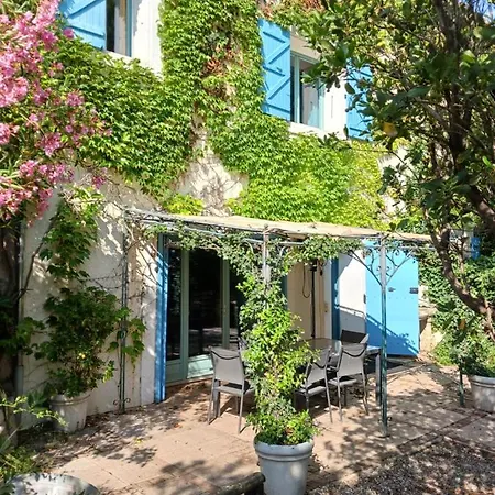 Magnifiques Au Sein D'un Vignoble