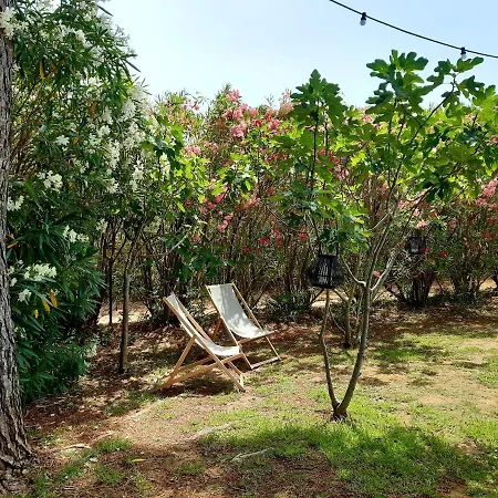 Magnifiques Au Sein D'un Vignoble בית נופש *