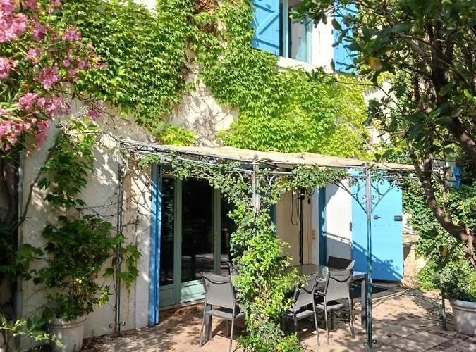 Magnifiques Au Sein D'un Vignoble