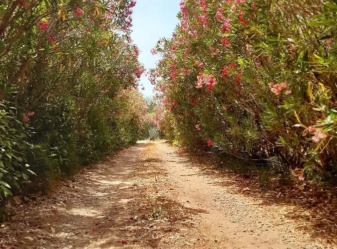 Magnifiques Au Sein D'un Vignoble Cazouls-les-Beziers